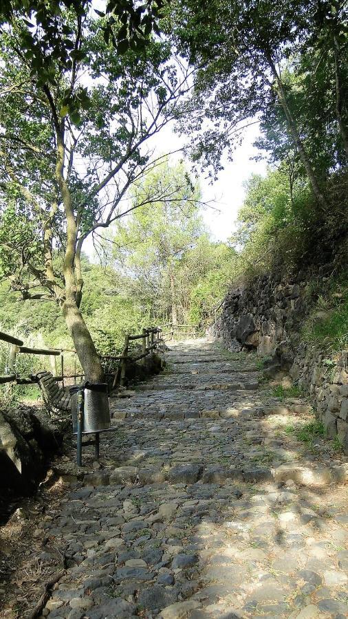 Ca La Roseta Διαμέρισμα Castellfollit de la Roca Εξωτερικό φωτογραφία